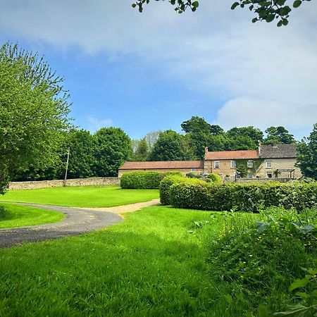 Old Orchard Cottage, Wykeham Scarborough Exteriér fotografie