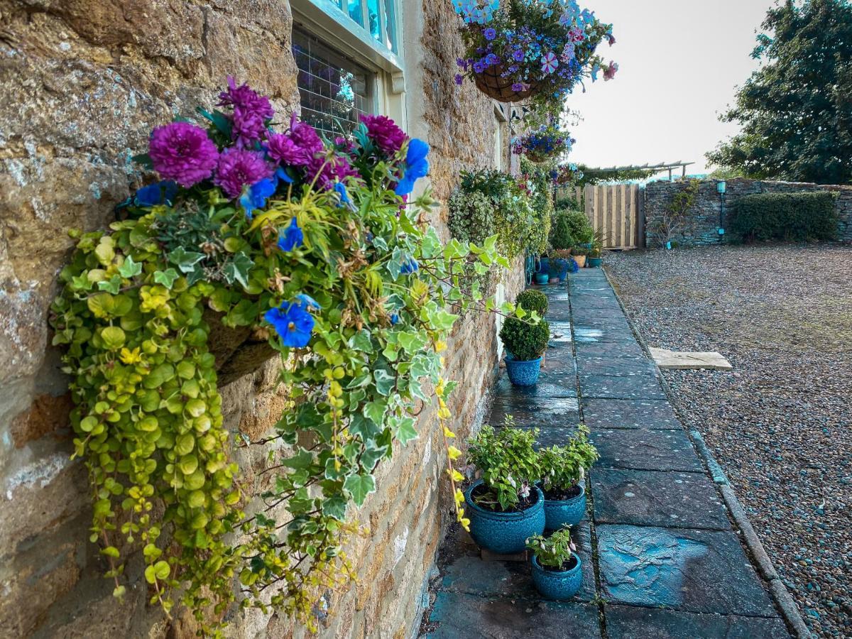 Old Orchard Cottage, Wykeham Scarborough Exteriér fotografie